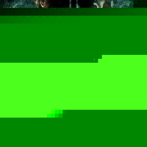 Profile Picture of Nolan Scoggins (@nolan_scoggins) on Myspace