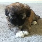 Profile Picture of Bobby Jack (@bobbyjack5054) on Youtube