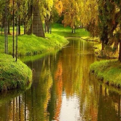 Profile Picture of Sonya Barry (@barsm007) on Twitter