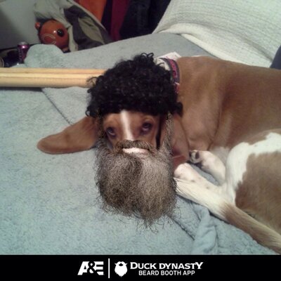 Profile Picture of Bob Danielson (@bobdfromnogo) on Twitter