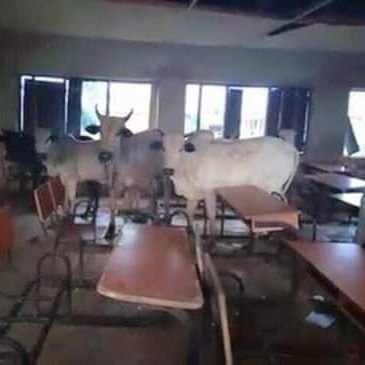 Profile Picture of ENRICO JOHNSON (@ENRICOJOHNSON7) on Twitter