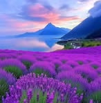 Profile Picture of Mcdaniel Karla (@Mcdaniel-Karla) on Facebook