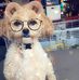 Profile Picture of Adam Pursel (@adam.pursel.58) on Facebook