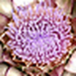 Profile Picture of chris fernandez (@cold honey) on Flickr