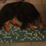 lightmänn - Instagram Profile Picture of lightmänn (@hawnjason.preiss) on Instagram