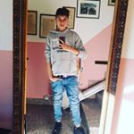 Profile Picture of pietro🐨 (@pietro_digarbo) on Instagram