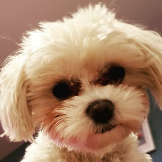 Profile Picture of eric walls (@ericwalls) on Instagram