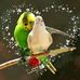 Profile Picture of Robin Flower (@robin.flower.794) on Facebook