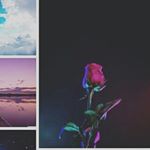 Profile Picture of Ariel Lynn Rathbun (@arielrathbun) on Instagram