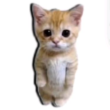 Profile Picture of Benjamin (@benjamin_blessed02) on Tiktok
