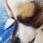 Profile Picture of stephanie boyer (@stephanie.boyer92) on Instagram