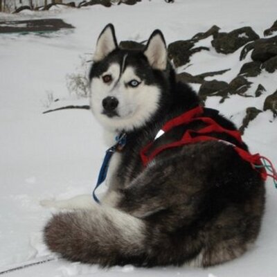 Profile Picture of Jeremy Jay Rupp (@JeremyJayRupp) on Twitter