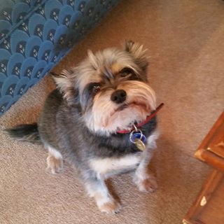 Profile Picture of Sybil VaughanWilliams (@sybil.vaughanwilliams.9) on Facebook