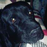 Profile Picture of Vishal Panchal (@vpanchal4069) on Instagram