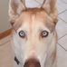 Profile Picture of David Tschida (@david.tschida.75) on Facebook