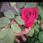 Profile Picture of Hena_singh (@_hena_singh_6789) on Instagram