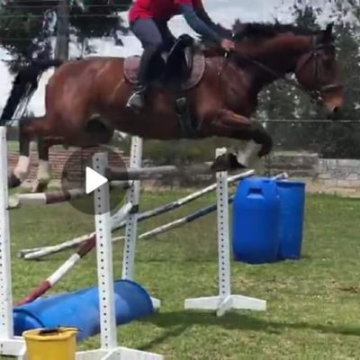 Profile Picture of Chris David Lema (@ChrisDavidLema2) on Twitter