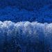 Profile Picture of Stephen Probst (@stephenprobst) on Pinterest