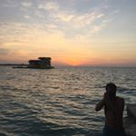 Profile Picture of Christopher Payne (@chrispaynesalsas) on Instagram