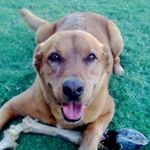 Profile Picture of Craig Berend (@craigberend) on Instagram