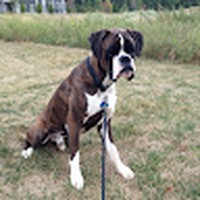 Profile Picture of Jeremy Sikes (@jeremy-sikes-11) on Quora