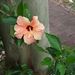Profile Picture of Anne Gry Sandsmark Moen (@annegrymoen) on Pinterest