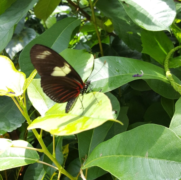 Profile Picture of Jill Orbon (@naomi_jm) on Poshmark