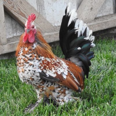 Profile Picture of Tammy (@tammyhord0570) on Twitter