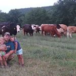 Profile Picture of Travis LaFaver (@travislafaver) on Instagram