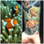 Profile Picture of kate.malone (@kate.malone) on Flickr