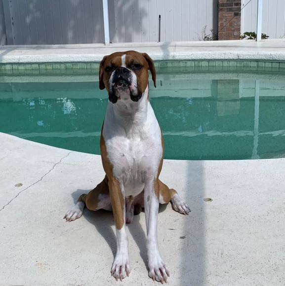 Profile Picture of Clint Sanderson (@cplsanderson) on Poshmark