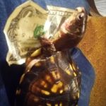 shelly weirdness - Instagram Profile Picture of shelly weirdness (@shelly_weirdness) on Instagram