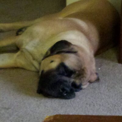 Profile Picture of Randy Kitchens (@trinkota) on Twitter