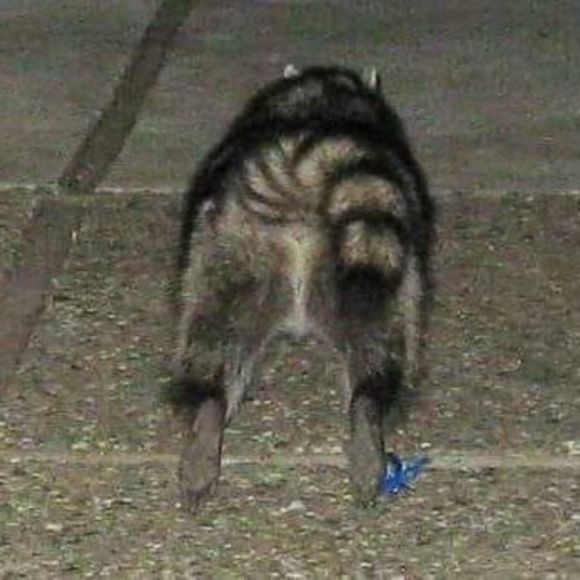 Profile Picture of Jerry Marshall (@jerry4304) on Poshmark