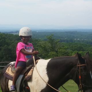 Profile Picture of Bobbie Perkins (@bhughey1) on Facebook