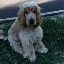 Profile Picture of Gregory Thorp (@gregorythorp1) on Twitter