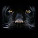 Profile Picture of Bryant Hughes (@bryant.hughes.711) on Instagram