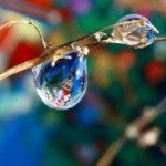 Profile Picture of Minnie (@minnieivydeneg7) on Instagram