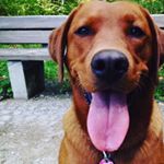 Profile Picture of Eammy van Sonnenwald (@i_am_eammy) on Instagram