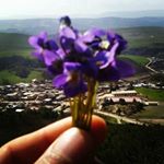 Profile Picture of منطقه ی توریستی گلیداغ (@goli_daq_city) on Instagram