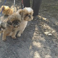 Profile Picture of Felicity Martin (@felicity-martin-6) on Quora