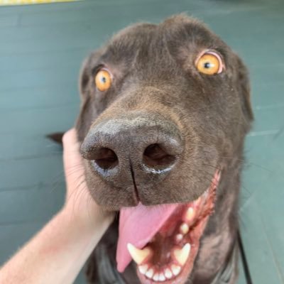 Profile Picture of Jacob Carver (@JacobCarver8) on Twitter