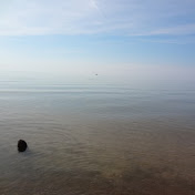 Profile Picture of T. Daniel Kuo (@t.danielkuo1994) on Youtube