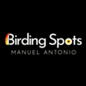 Profile Picture of Birding Spots Manuel Antonio  (@birdingspotsmanuelantonio7980) on Youtube