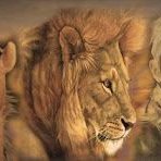 Julian Oquendo - Twitter Profile Picture of Julian Oquendo (@OKENDO1316) on Twitter