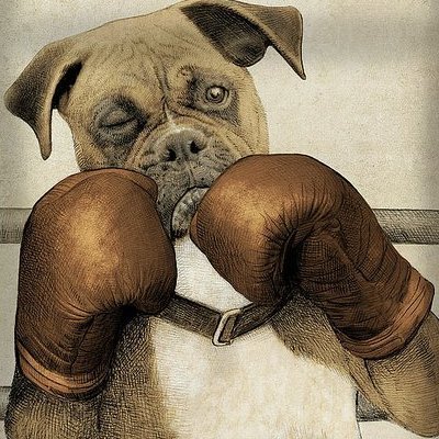 Profile Picture of Daniel Konz (@DanielKonz2) on Twitter