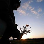 Profile Picture of Alice Singleton (@singletonalice_) on Instagram