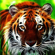 Profile Picture of John Michael Camba (@johnmichaelcamba5595) on Youtube