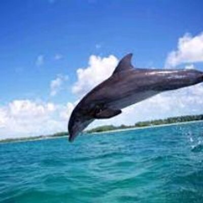 Profile Picture of Wonder Paul (@PaulHaule) on Twitter