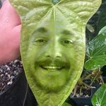 Profile Picture of Justin Hart (@saltwaterjustin) on Instagram